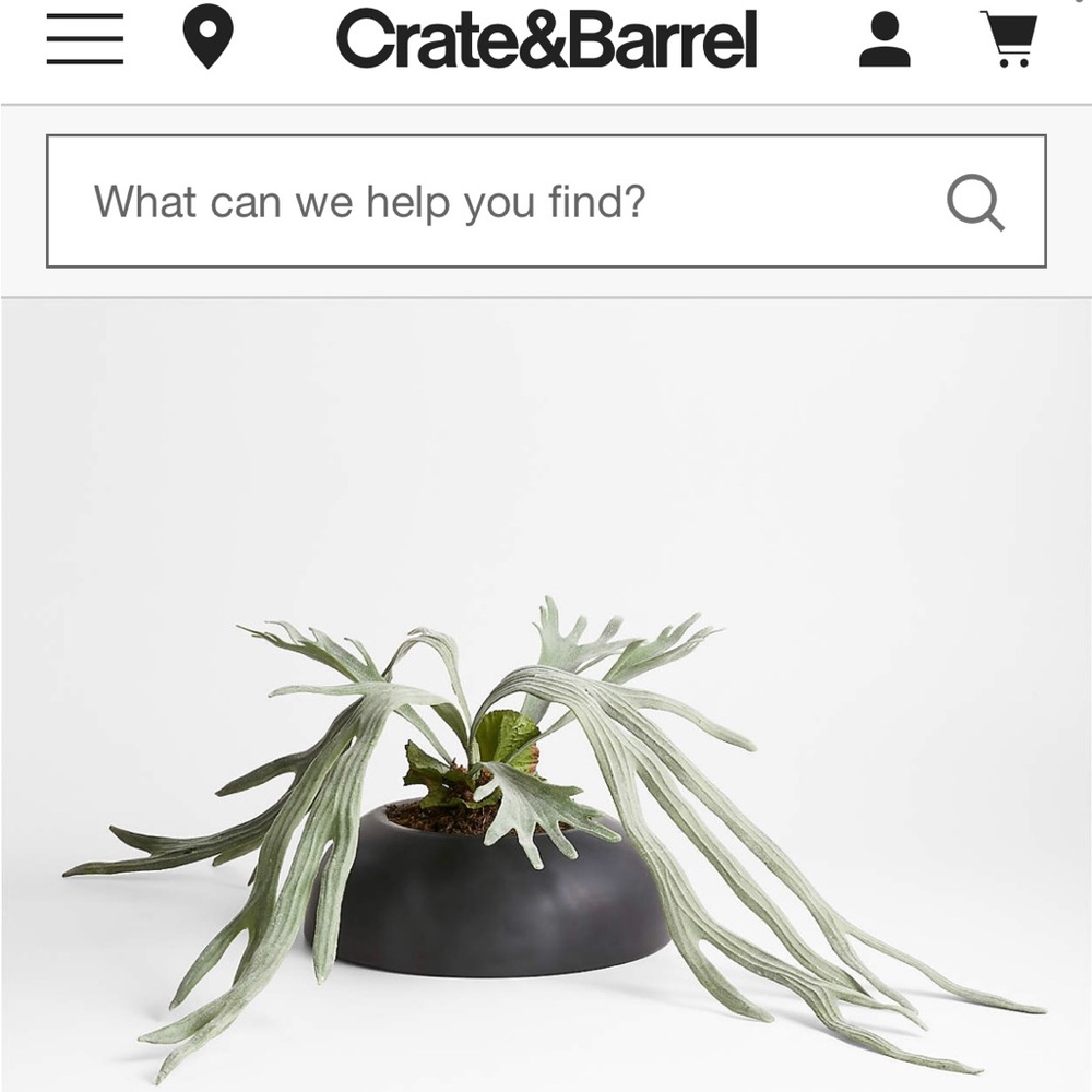 Crate&Barrel Charcoal Planter with Sage Green Faux Fern